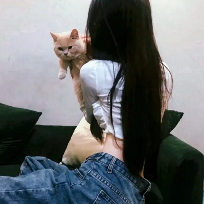 艾蜜丽的五件事